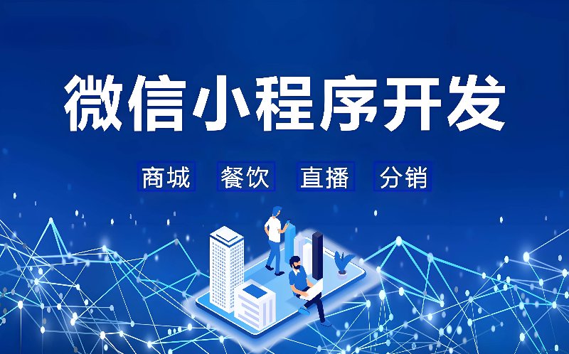 晨智网络科技